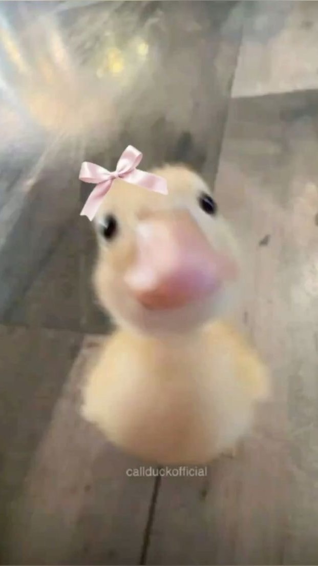 ˚₊☆⌒ yappers (english speakers) ۶ৎ˙⋆