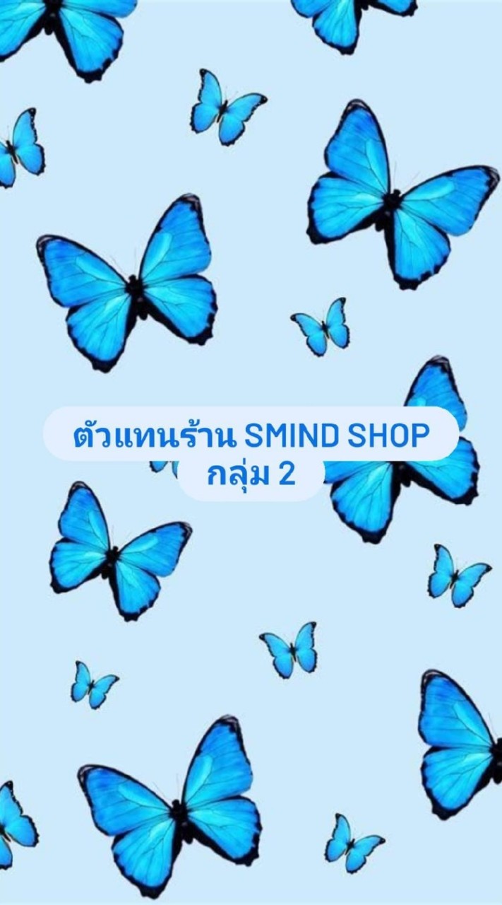 ตัวแทนร้าน Smind shop กลุ่ม2