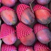 枋寮芒果.百貨.日本商品，批發