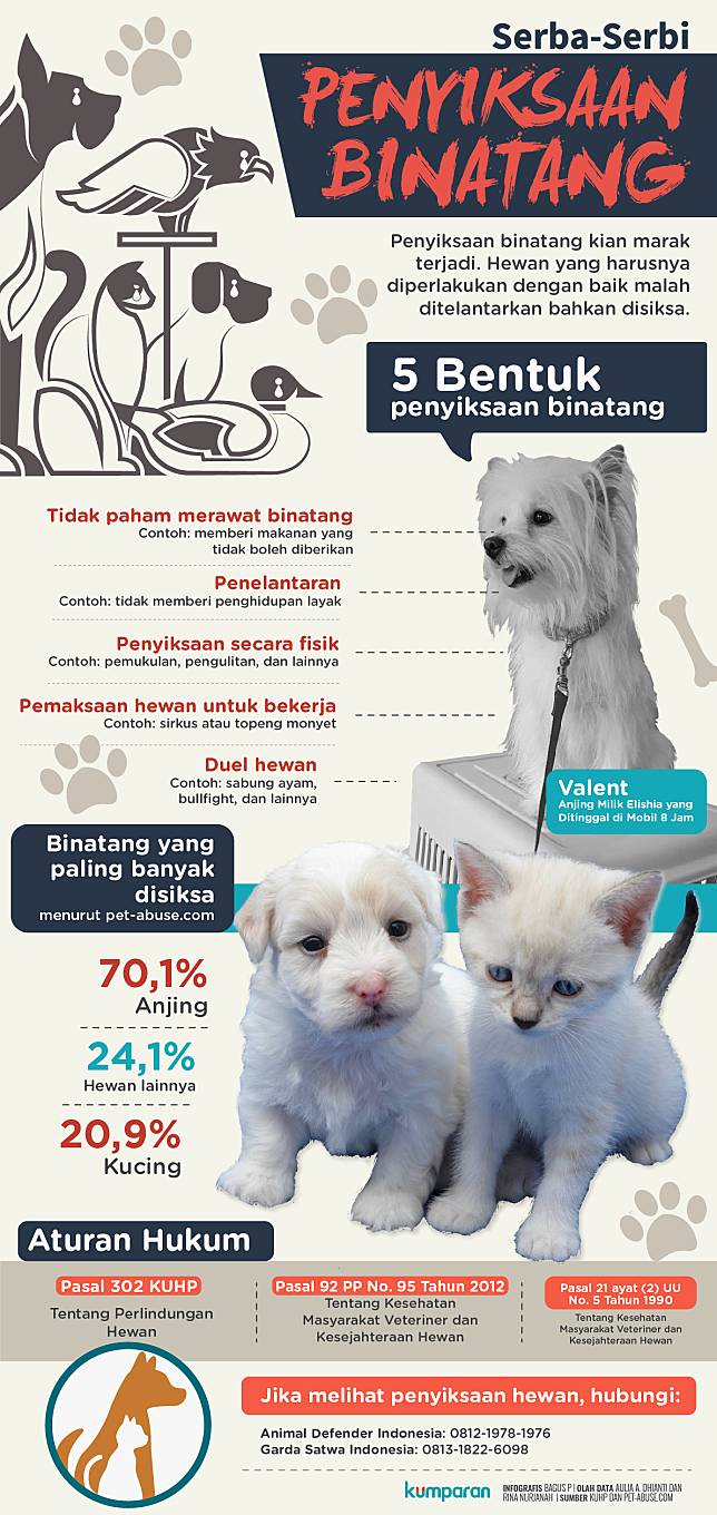 5 Bentuk Umum Penyiksaan Binatang