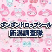 ボンボンドロップシール新潟調査隊#シルパト