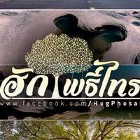 ฮักโพธิ์ไทร