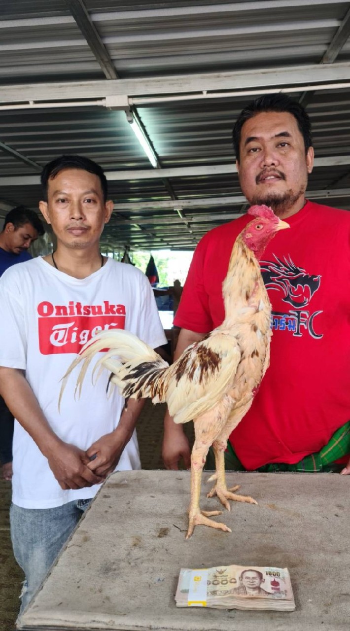 ส.สุภัสสรา พม่าเหล่ามังกร