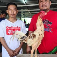 ส.สุภัสสรา พม่าเหล่ามังกร