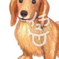 腸腸家族交流討論