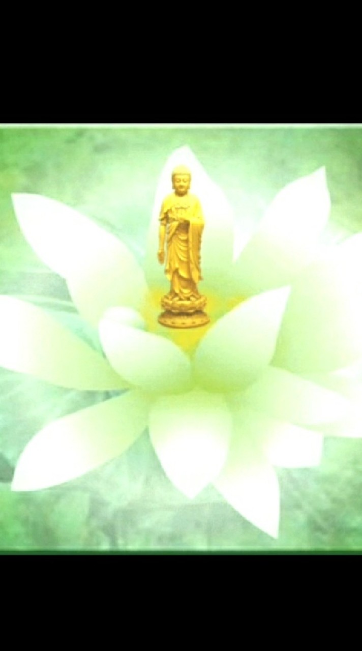 助念訊息流通⚫專一念佛⚫不停佛聲⚫一句彌陀念到底⚫不夾雜開示⚫