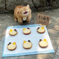 新世界社群