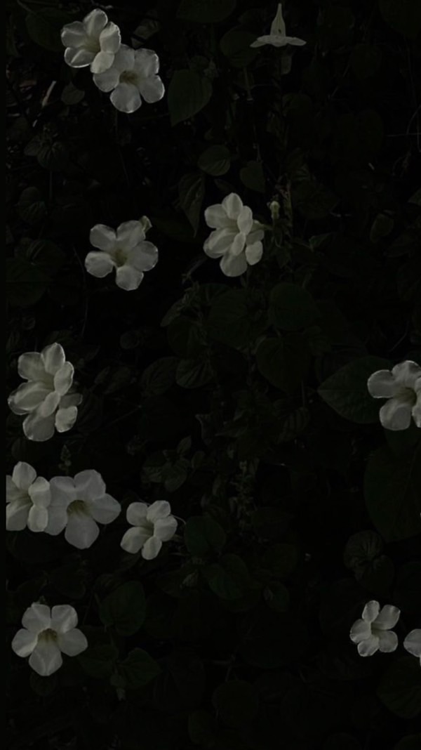 壁打ち  rkrn