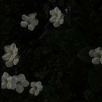 壁打ち  rkrn