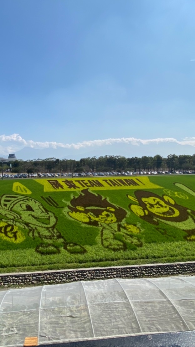 太平仕女美食開賣團