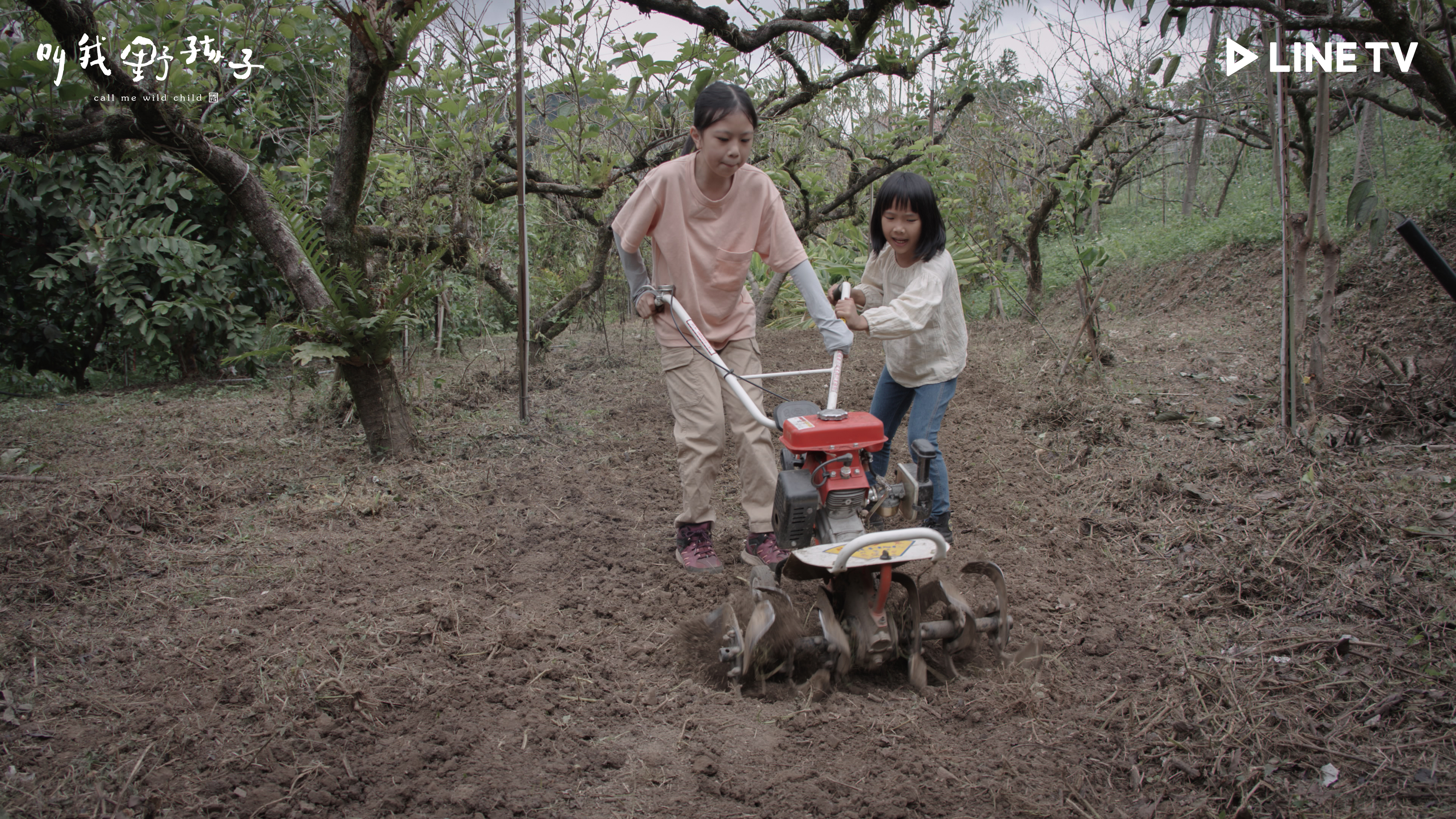 圖片提供 / LINE TV