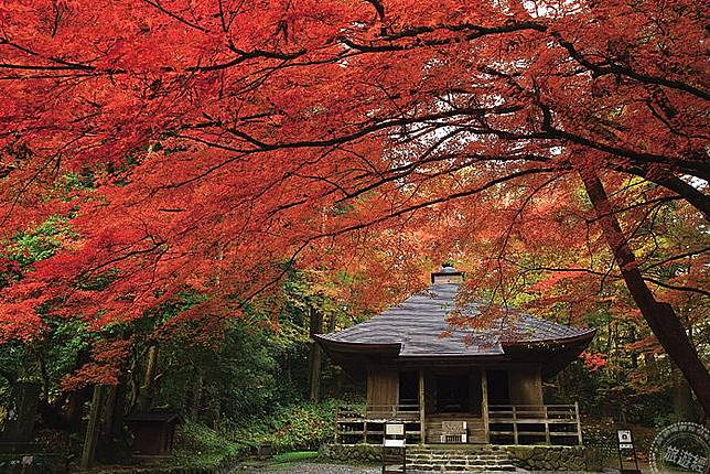 岩手必訪紅葉絕景5選 旅遊經 Line Today