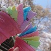 ☆シングル  ぱぱまま☆