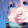 モフ猫／ゴールデンホイヤー