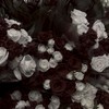 ❤︎ 愛して ︶  HQ 也 ❤︎