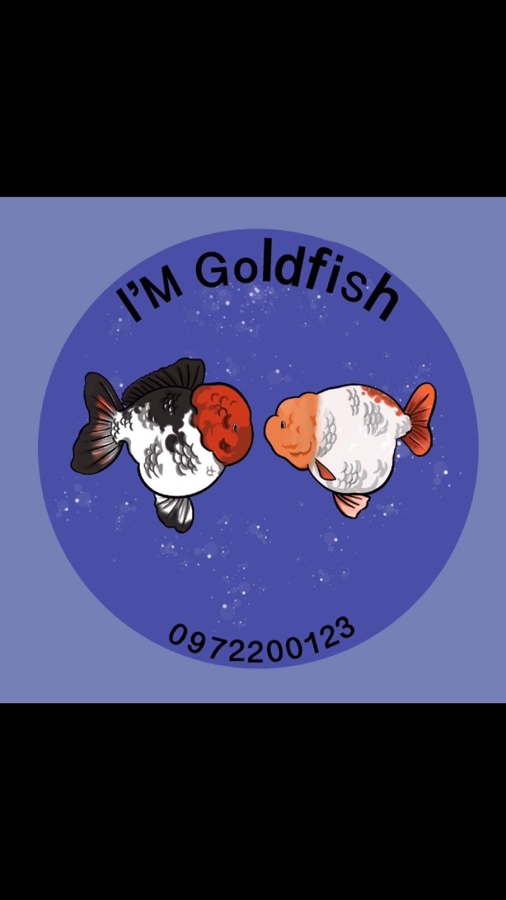 I’M Goldfish