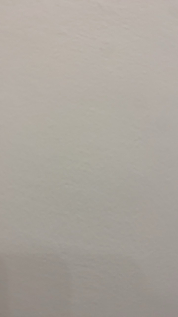 連杏「血糖機」