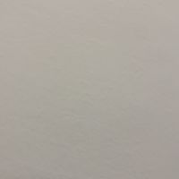 連杏「血糖機」