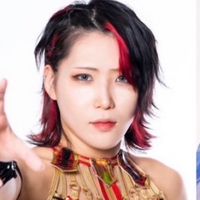 ｽﾀｰﾀﾞﾑﾌｧﾝ集合‼️