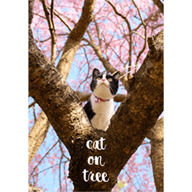 Climbing Tree Cat Line Theme Line Store