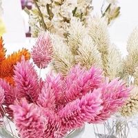 アロマとハーブ🌿好きナチュラルオーガニック好きさんのための腸活・健康・無添加美容，ダイエット