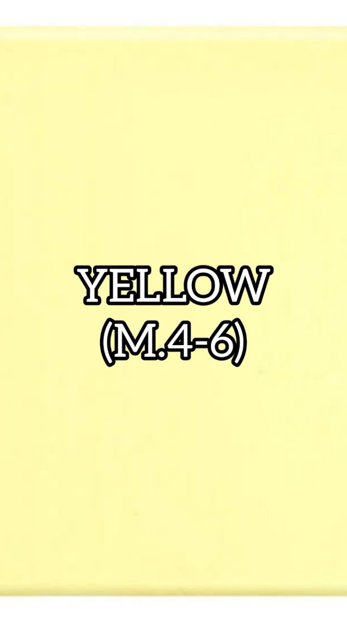 YELLOW66 (M.4-6)