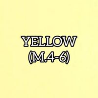 YELLOW66 (M.4-6)