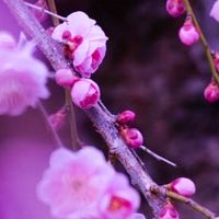 東海ソラタビ写真部〰️平日・ドローン・カメラ旅〰️