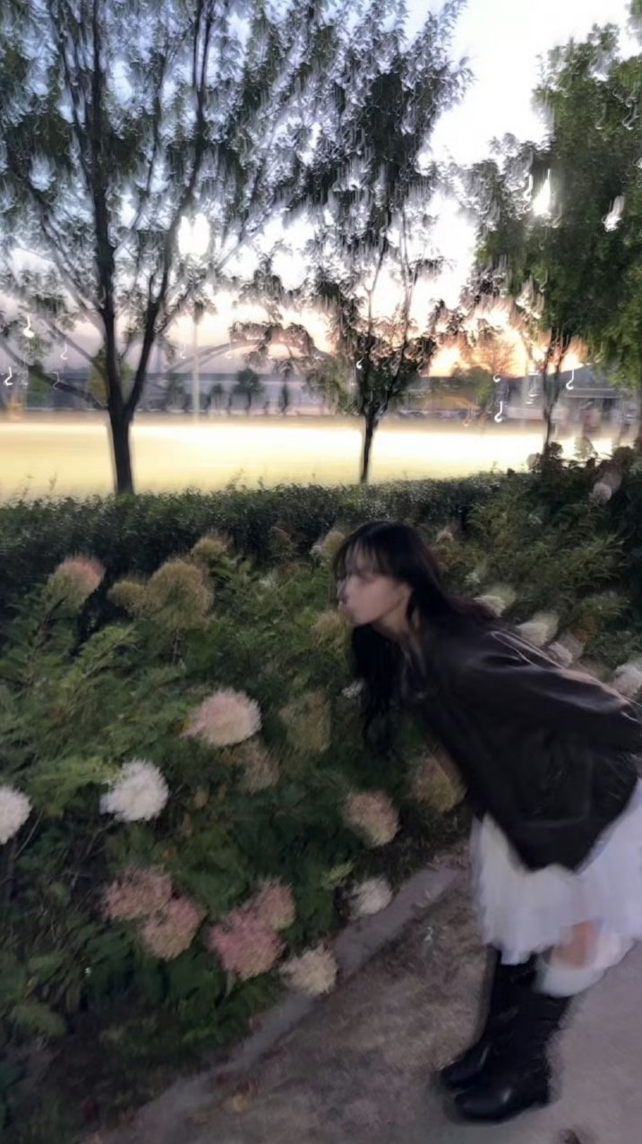 ﾟ❅⊹˚.⋆冬 日 恋 歌˚ ⋆* ❄️