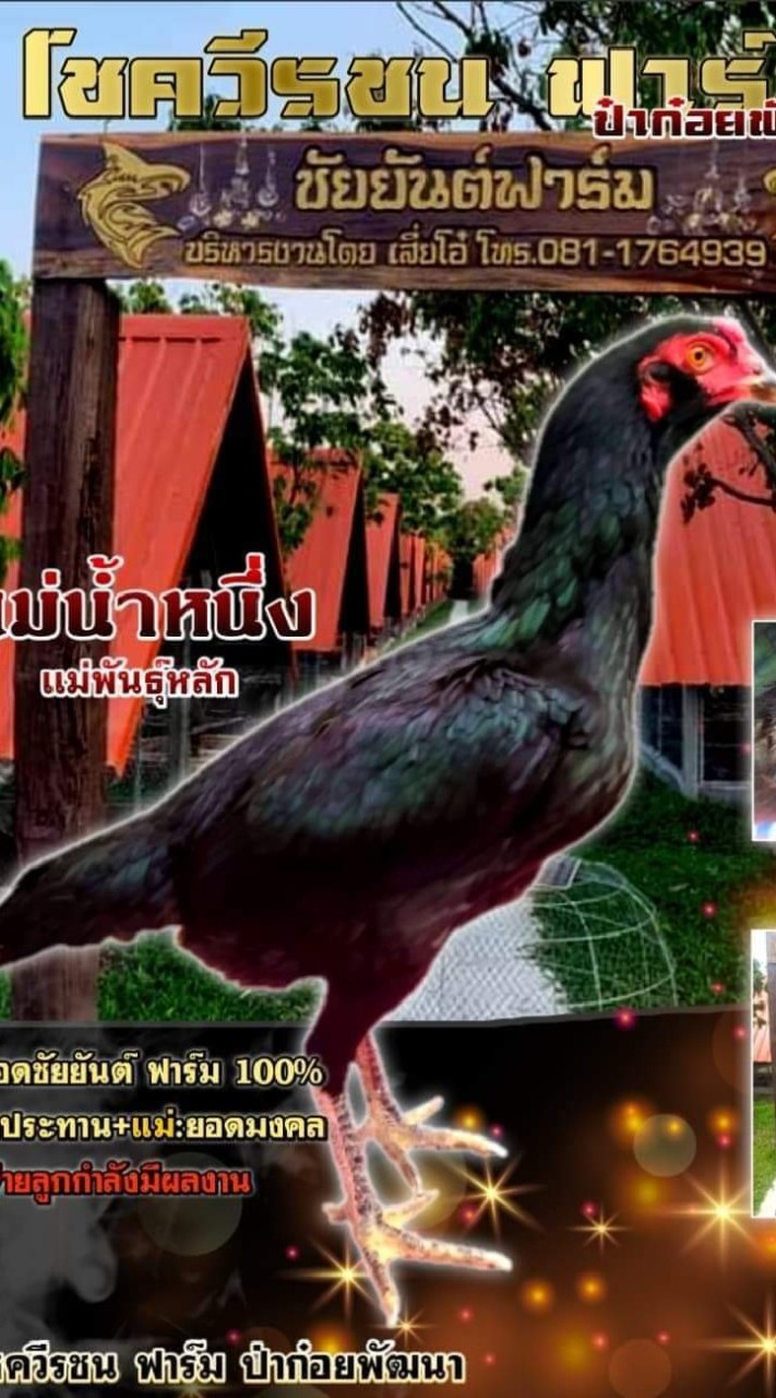 น้ำหนึ่ง โชควีรชน ฟาร์ม