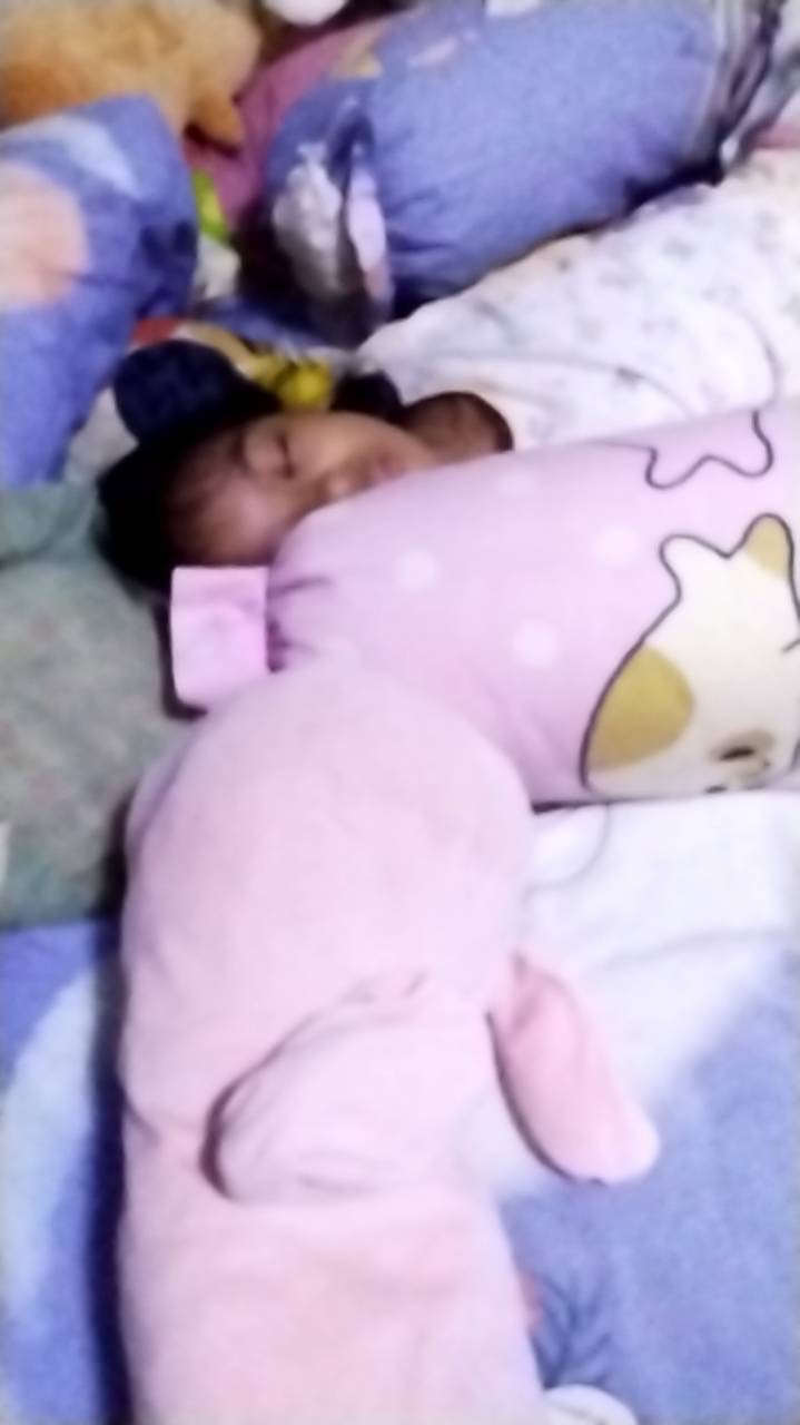 กลุ่มปลูกสวน