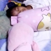 กลุ่มปลูกสวน