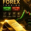 กลุ่มเทรดทองforex