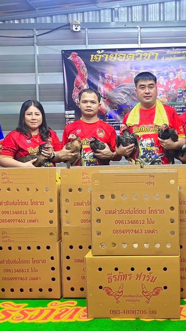 ซุ้มไก่ชนเพชรพลังหนุ่ม