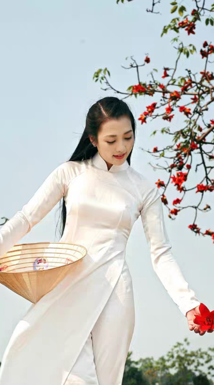 越南好媳婦，幸福越南情