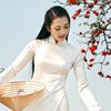 越南好媳婦，幸福越南情