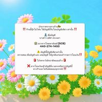 มี๊นุ๊กกลุ่มวางดาวน์สำหรับตัวแทน📱💰💸