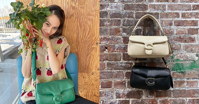 Coach it top bag