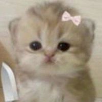 歌リレーをする場所だぁ！