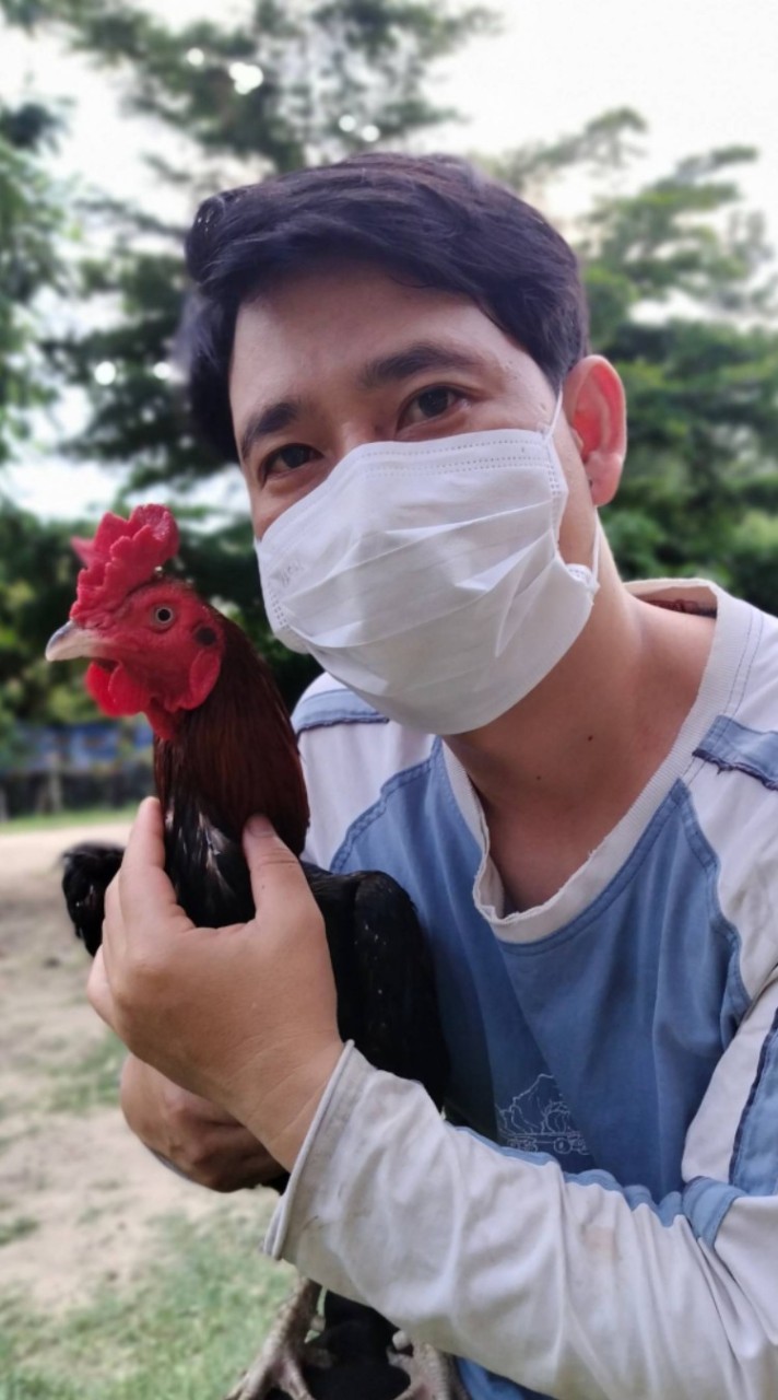 ไก่ชนพม่า สาละวิน by Aiew