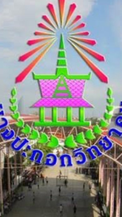 สีแสด(วอลเลย์หญิง)