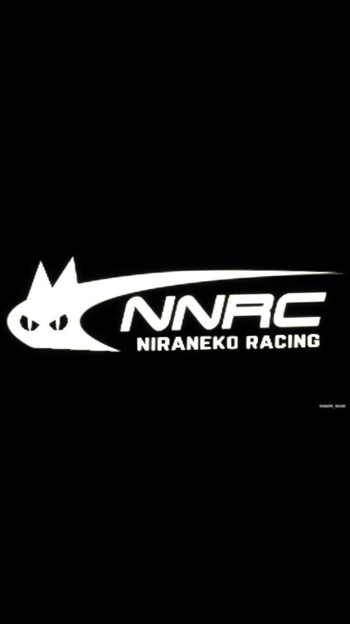 カーパーキングマルチプレイヤーレーシングチーム「NIRANEKO RACING」