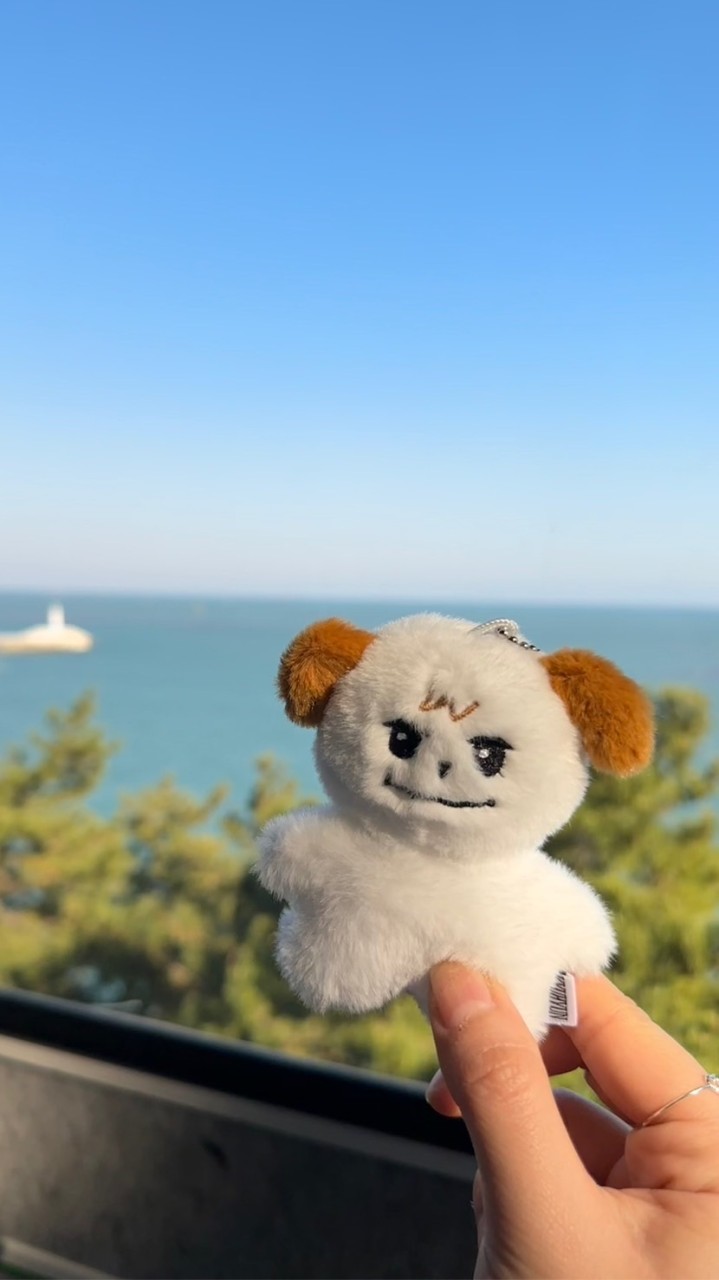 圭美 菇的代購💙