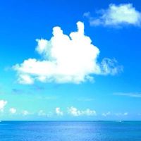 (精神)障害年金の雑談(2)
