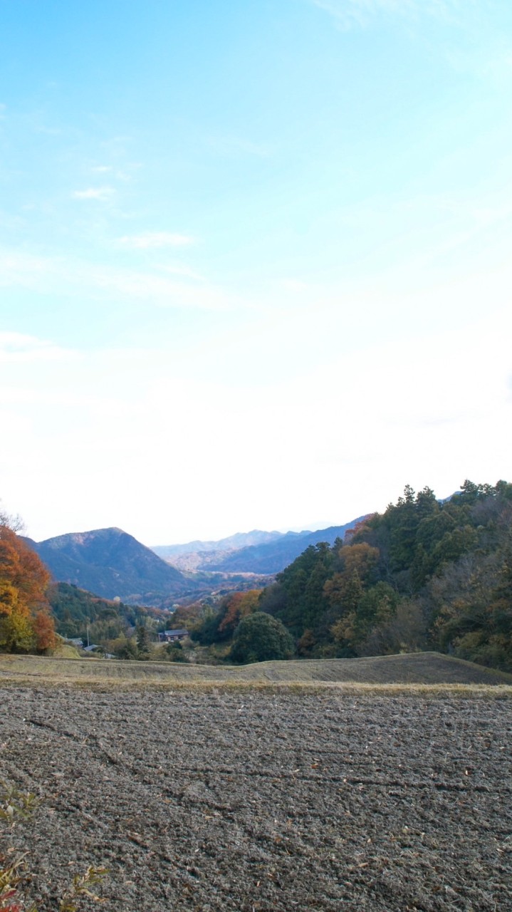 さぬき循環暮らしつくり隊