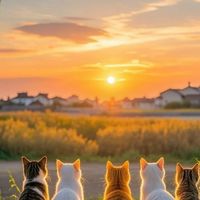 まぁまぁ✨同世代✨🌈50代からのお部屋🌈楽しい🍬お部屋🍎