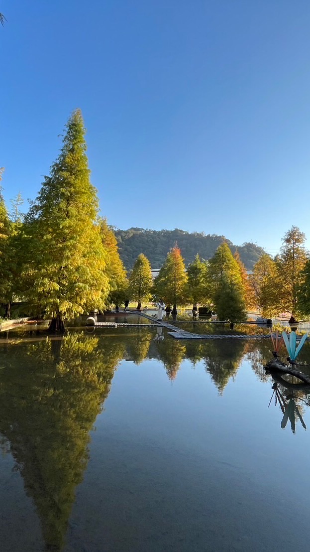 美樂家分享群
