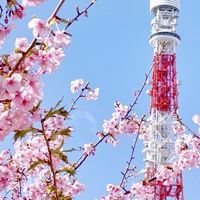 江家旅遊手冊