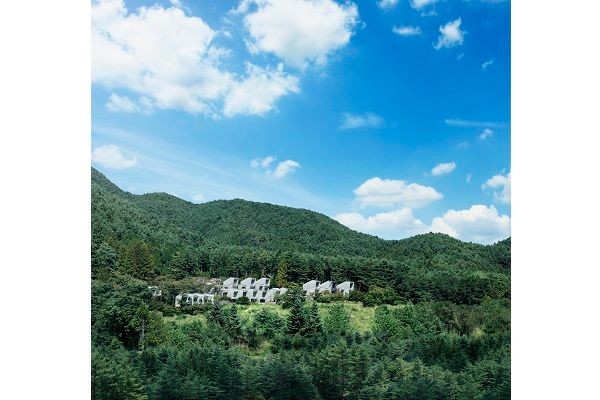 代々資産家 と 一代で成り上がり 同じお金持ちでもこんなに違う