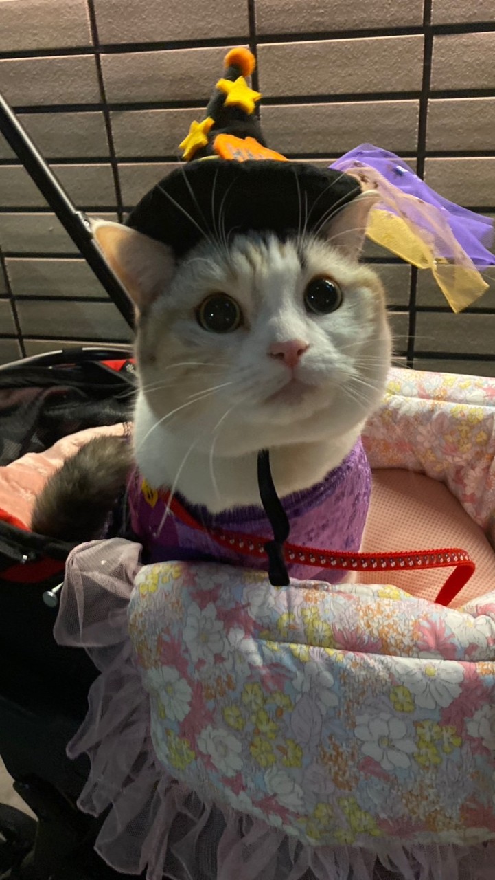 🎀英美瑠のお部屋🎀